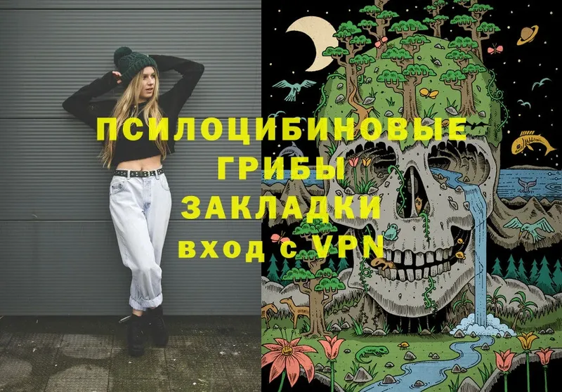 Псилоцибиновые грибы Psilocybe  Донской 